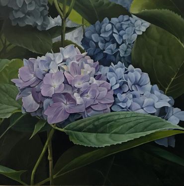 Hydrangea #4, 2020, Oil on Panel, 10" x 10"