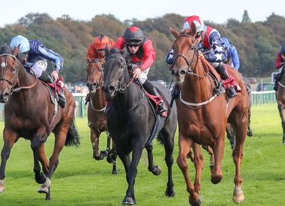 Let's Be Lucky Racing - Racehorse Shares, Horse Racing Syndicates