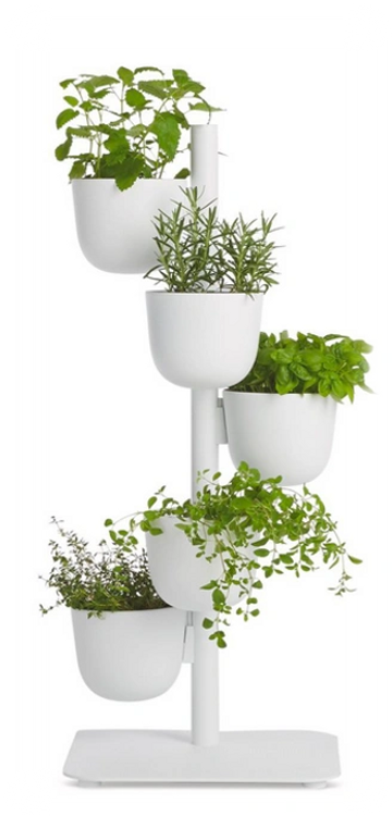 office plants, plant, plants, indoor plants, self watering planters, home office, low light