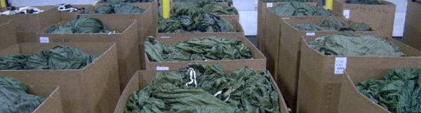 100' Cargo Parachute | Winnipeg Army Surplus