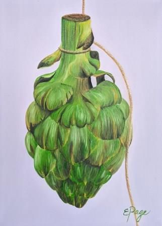 Hanging Artichoke