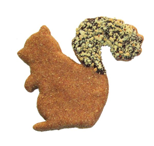 Squirrelly Squirrel Dog Treat