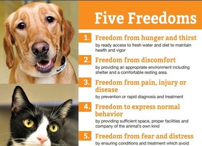 Five Freedoms, Scott County Iowa No Kill
