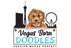 Welcome to
 Vegas Born Doodles