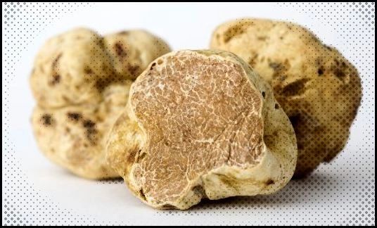 White Truffle Oil