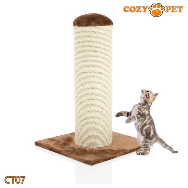 Sisal scratching best sale post for cats