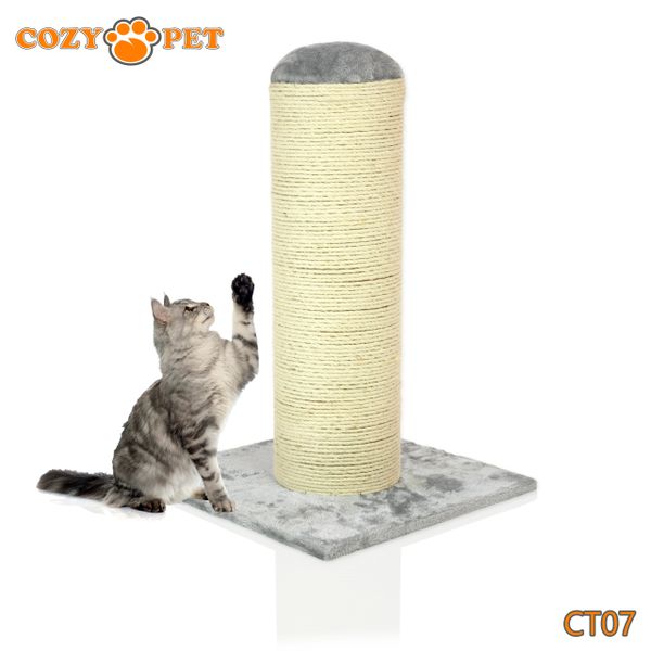 Extra large 2025 cat scratching post