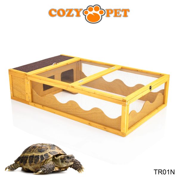 Easiest best sale pet tortoise