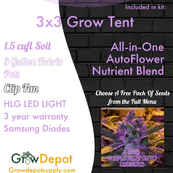 AutoFlower Tent Package