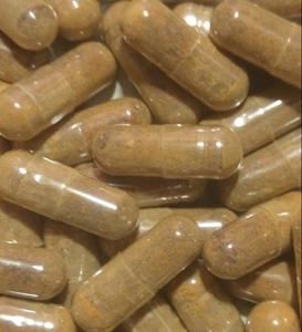 ROSEHIPS capsules 500 mg per capsule VITAMIN C