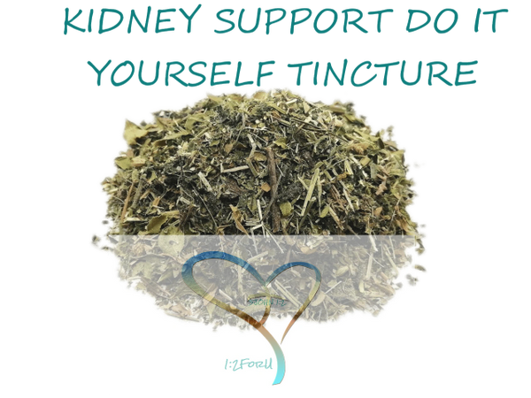 KIDNEY Support DO IT YOURSELF KIT for making Tincture