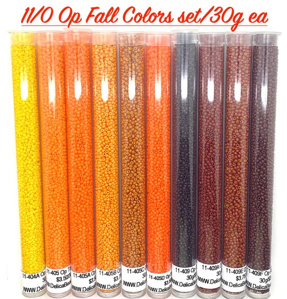 11/0 Opaque Fall Colors Beads Set