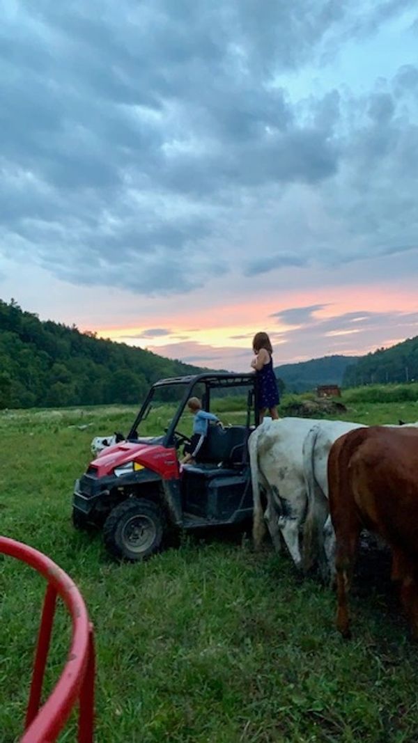 The Gateway Farm Pure Vermont Maple Syrup & Birch Syrup, Vermont Made