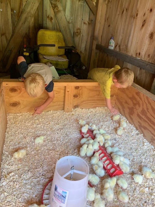 The Gateway Farm Pure Vermont Maple Syrup & Birch Syrup, Vermont Made