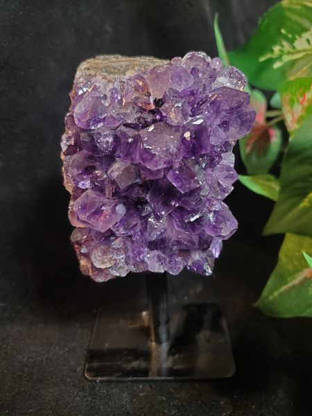 Amethyst Cluster on a Stand