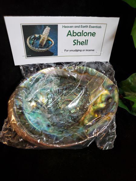 Abalone Shells: Med, Lg, XL