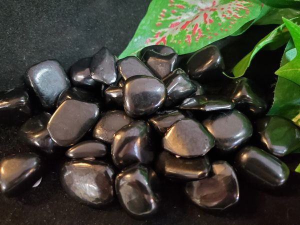 Tumbled Crystal: Shungite