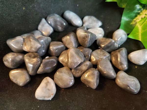 Tumbled Crystal: Cat's Eye, Grey