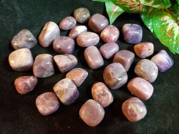 Tumbled Crystal: Lepidolite