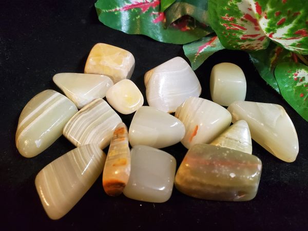 Tumbled Crystal: Green Onyx