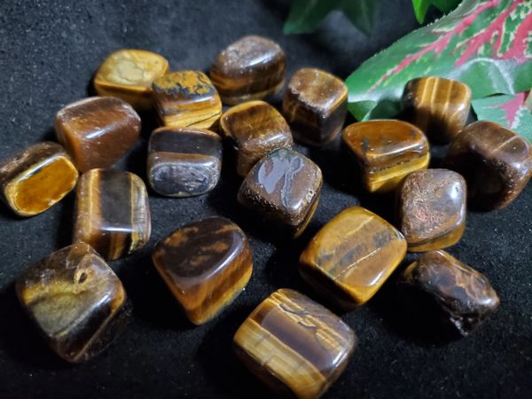 Tumbled Crystal: Tiger's Eye, Golden