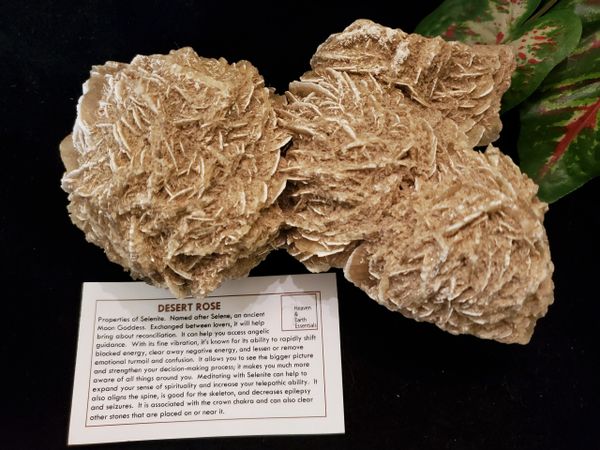 Desert Rose, Large Cluster