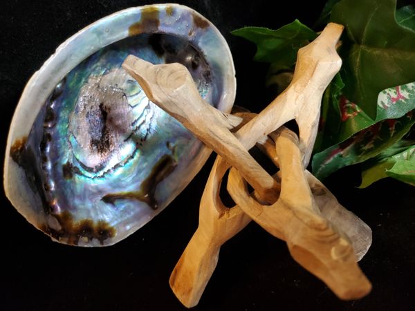 Abalone Shell and Wood Stand