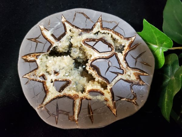 Septarian