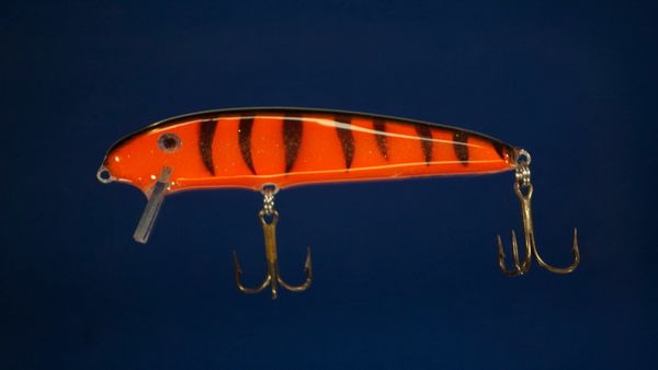 SS Shiner-Orange Tiger pattern
