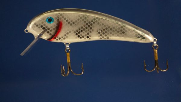 9.5 inch SS Shad-Crappie Pattern
