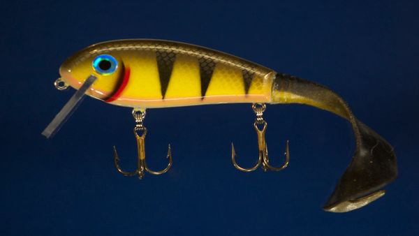 Baby Squirrely SS Shad-Perch Pattern