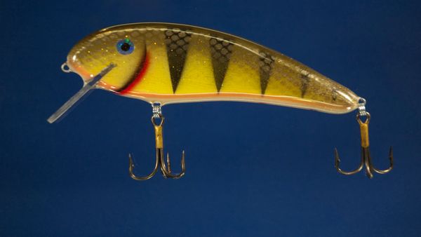 MD SS Shad-Perch Pattern