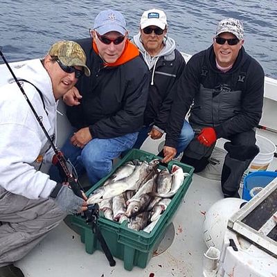 Catching 100's of haddock can be a messy proposition. Dress appropriately.