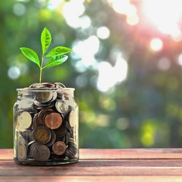 coins in jar with plant