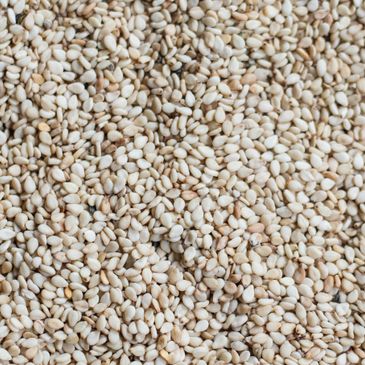 Conventional White (non-Gadarif) Sesame Seeds Sudan Africa proseeds world import export