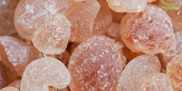 KC (Kordofan Clean) - E-414 Gum Arabic Sudan Africa, import, export  proseedsworld