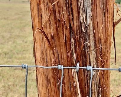 Farm fence  Barbed wire, Wire fence, Farm fence