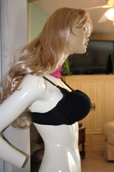 BEV'S BRAS WILL 'LIFT AND HOLD THEM UP' while the next picture will show how flat the other guy's bra will make you look. We design our bras to show off your talents not to hide them.