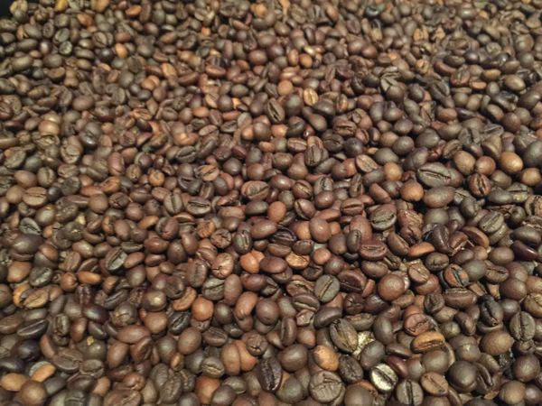 500g Organic Coffee (Ground/PLunger Ready)