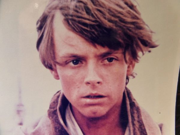 Mark Hamill young autographed 8x10 photo Star Wars