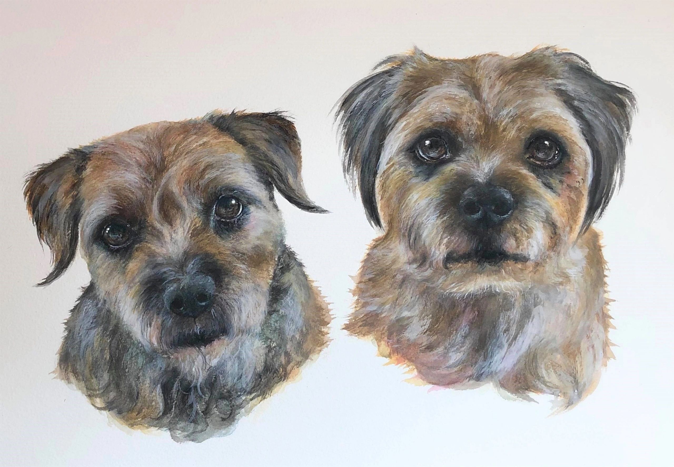 Pet Portraits - BESPOKE PET PORTRAITS by Sarah