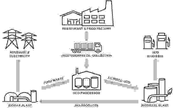 Biofuel flow chart