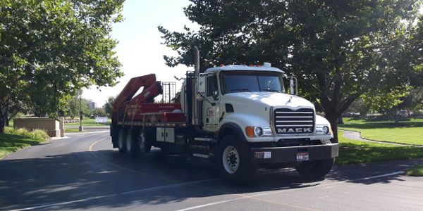 white truck, delivery, concrete washout, sunny road, cross walk, trees, green, 