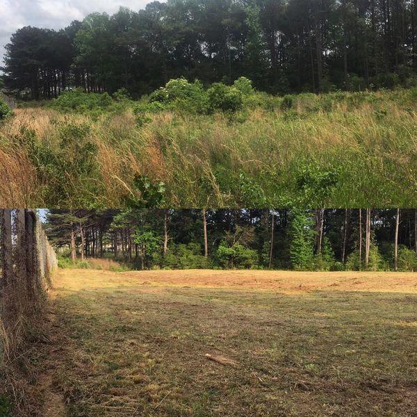 Before and after photo of lot that has had bush hogging done 