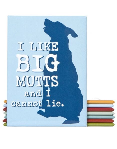 Decorative Magnet: I Like Big Mutts