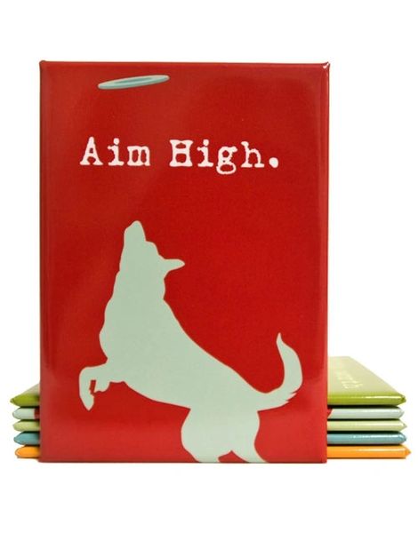 Decorative Magnet: Aim High