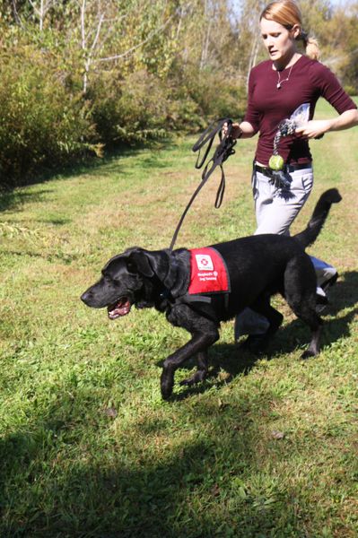 Nosework Class- 7 week class