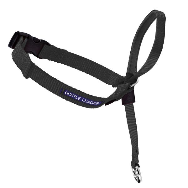 Gentle Leader Headcollar in Black