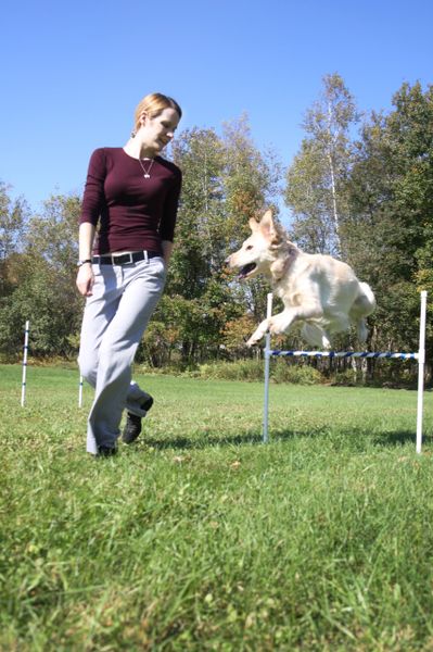 Agility Class