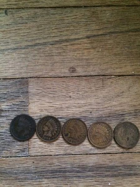 Indian Head Pennies